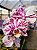 Phalaenopsis Kingcar Purple Queen x Phalaenopsis Glitter - Imagem 3