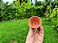 Mini Vaso de Barro PROMOÇÃO - Imagem 5