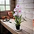 Miltonia Rosa - Imagem 3