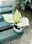 Aglaonema White Joy - Imagem 4