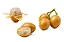 Wampee - Clausena lansium - Imagem 1