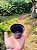 Vaso Comum Preto  - Boca 7 - KIT COM 10 UNIDADES - Imagem 1