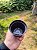 Vaso Comum Preto  - Boca 7 - KIT COM 10 UNIDADES - Imagem 3