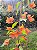 Primavera Laranja - Imagem 3