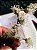 Bromélia Callisia Fragans - Callisia fragrans- PROMOÇÃO - Imagem 3