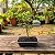 Bonsai Acerola - Imagem 2