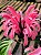 Justicia Rosa - Justicia carnea - Imagem 1