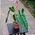Philodendron Billietiae Folhas Vibrantes - Imagem 4