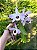 Dendrobium Nobile Branco e Rosa com Miolo Escuro - Imagem 3