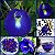 Kit de Plantas Trepadeiras - Fada Azul, Papo de Peru e Cissus Discolor - Imagem 3