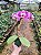 Orquídea Phalaenopsis Rosa 01 - Imagem 3