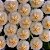 Flor de Cera Hoya Krohniana 'Eskimo' Super Silver - Imagem 3