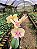 Orquídea Phalaenopsis Amarelo com Rosa - Imagem 2
