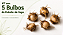 Kit com 5 Bulbos da Estrela-de-fogo - Crocosmia × crocosmiiflora - Imagem 1