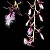 Orquídea Bulbophyllum Miniatum (Saltatorium) - Imagem 1
