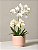 Mini Phalaenopsis Branca - Imagem 1