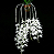 Dendrobium Anosmum Albo (No Toco) - Imagem 1