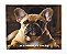 Manta, Cobertor Fleece Estampado Para Pet, Buldogue Francês - Imagem 1