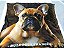 Manta, Cobertor Fleece Estampado Para Pet, Buldogue Francês - Imagem 2