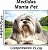 Manta, Cobertor Fleece Estampado Para Pet, Ilhasa Apso Mod 1 - Imagem 8
