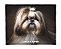 Manta, Cobertor Fleece Estampado Para Pet, Ilhasa Apso Mod 2 - Imagem 1
