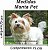 Manta, Cobertor Fleece Estampado Para Pet, Yorkshire-Terrier - Imagem 7
