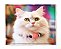 Manta, Cobertor Fleece Estampado Para Pet, Gato Mod 1 - Imagem 1