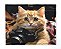 Manta, Cobertor Fleece Estampado Para Pet, Gato Mod 2 - Imagem 1