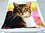 Manta, Cobertor Fleece Estampado Para Pet, Gato Mod 3 - Imagem 2