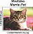 Manta, Cobertor Fleece Estampado Para Pet, Gato Mod 3 - Imagem 5