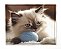 Manta, Cobertor Fleece Estampado Para Pet, Gato Mod 5 - Imagem 1