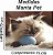 Manta, Cobertor Fleece Estampado Para Pet, Gato Mod 5 - Imagem 5