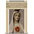 Livro Devocionário Nossa Senhora Fátima - Imagem 1