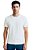Camiseta Pima Adonis OffWhite Bordado - Imagem 1