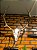 Trofeu Decorativo  Cabeça  Skull Cervo ELK/WAPITI - Imagem 2