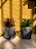 Vaso de Cerâmica - Plantinha Ornamental - Imagem 1
