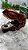 Dinosaur Car Series C/ Carrinho - Imagem 1