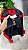 Mochilas Adventure - Imagem 17