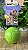 Bola Pet C/ Luz - Imagem 3