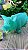 Brinquedo Pet Porco Sonoro - Imagem 2