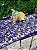 Cama Pet Plus - Imagem 3