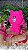 Bolsa Ursinho Cute - Imagem 3