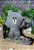 Bolsa Ursinho Cute - Imagem 2