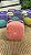 Escova Pet Banho C/ Dispenser De Shampoo - Imagem 3