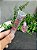 Gloss Lip Oil Com Pingente Frutado - Imagem 2