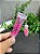 Gloss Lip Oil Com Pingente Frutado - Imagem 3