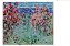 POSTAL MONET - LA MAISON DANS LES ROSES - Imagem 1