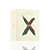 NISHANE HUNDRED SILENT WAYS X EXDP 100ML - Imagem 2
