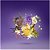 XERJOFF PURPLE ACCENTO EDP 100ML - Imagem 3