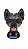 Dog mola Blue Heeler - Imagem 1